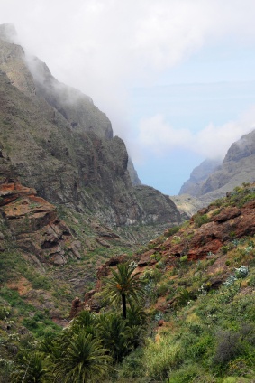 Masca Canyon in Teno-Park