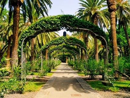 Park in Santa Cruz de Tenerife - Hauptstadt von Teneriffa